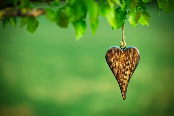 Houten vorm van hart op natuurlijke groene achtergrond — Stockfoto