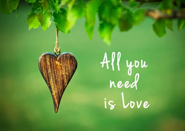 All you need is love - inspirational quote — Stock Photo, Image