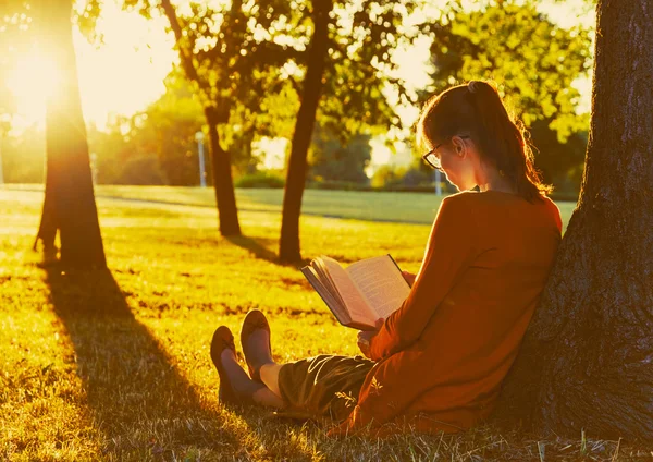 Lány olvasás könyv parkban nyáron naplemente fény — Stock Fotó
