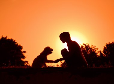 köpek pençe tutan kız