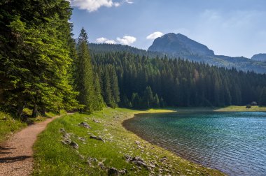Durmitor Milli Park'ta yürüyüş yolu