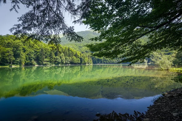 Paesaggio del lago di montagna Biogradsko jezero — Foto Stock