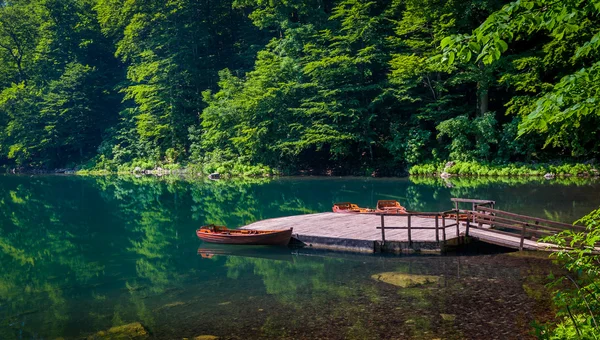 森の湖で木製の桟橋 — ストック写真