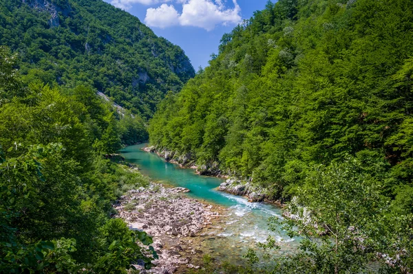 A hegyi Tara folyó Canyon. — Stock Fotó