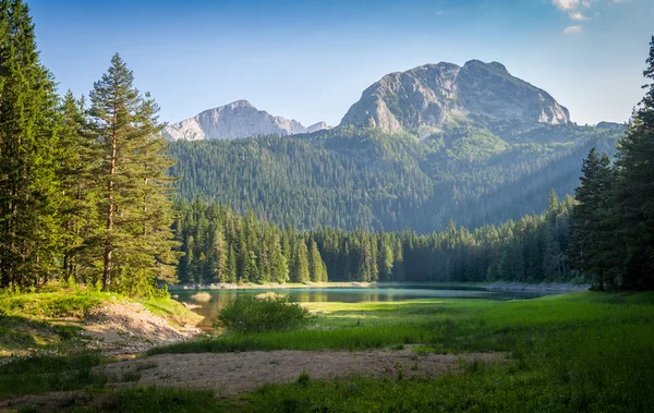 Dağ milli parkta Durmitor, Zminje jezero küçük göl