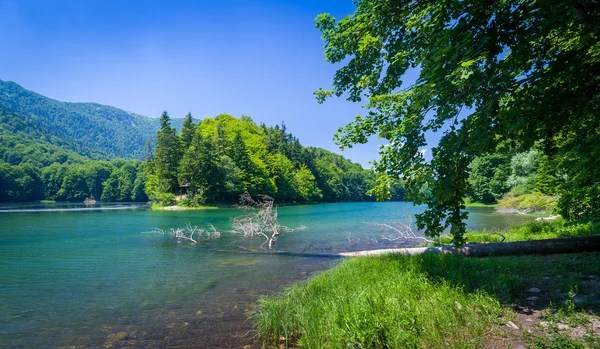 Lago di Biogradsko nel parco nazionale del Montenegro — Foto Stock