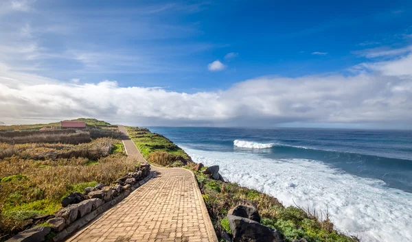 Sentiero a piedi sul bordo dell'oceano. Isola di Madeira . — Foto Stock