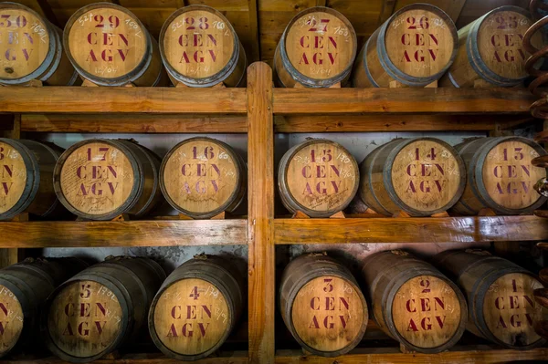 Barris de madeira de rum na sala de armazenamento — Fotografia de Stock