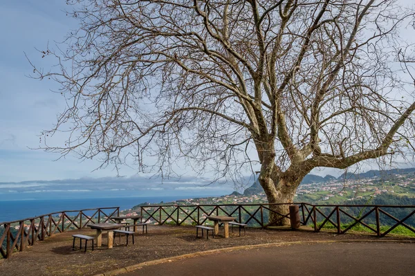 Bellissimo punto panoramico sulle montagne dell'isola di Madeira — Foto Stock