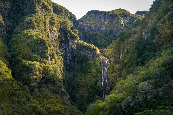 Hoge waterval in het wandelen route levada 25 fonteinen, Madeira. Rechtenvrije Stockfoto's