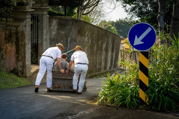 Atracción de descenso en trineo en el parque Monte —  Fotos de Stock