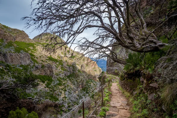 Hiking path on the edge of a rocky cliff near the Pico Ruivo mountain at Madeira.