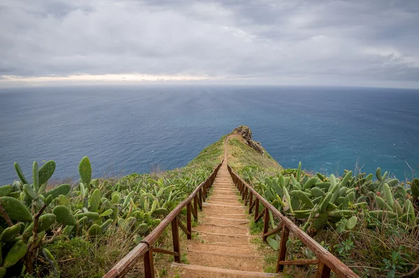Sentiero dei gradini di legno dalla statua di Cristo Rei al promontorio dell'oceano . — Foto Stock