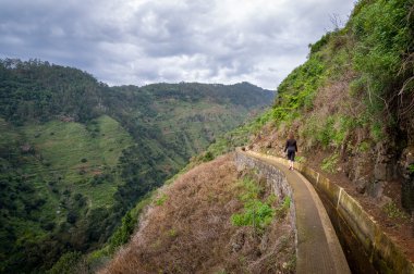 Levada Nova dağ yürüyüş yolu, Madeira.