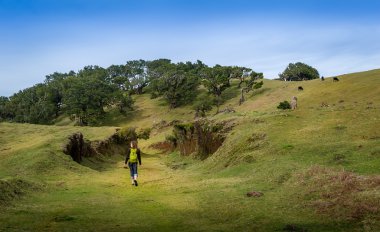 Woman walking on hiking path of Fanal plateau at Madeira island.