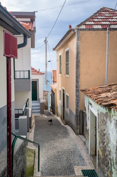 Vieille rue étroite de la ville de Paul do Mar, menant vers l'océan, île de Madère . — Photo