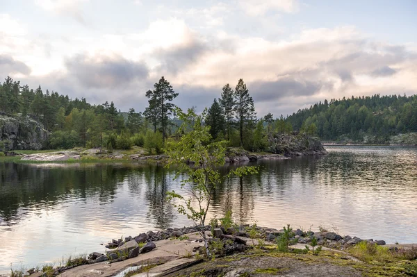 Karelië Republiek natuur — Stockfoto