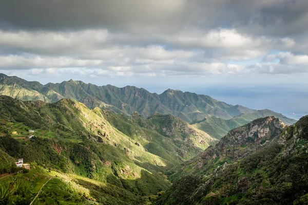 Tenerife island — Stock Photo, Image