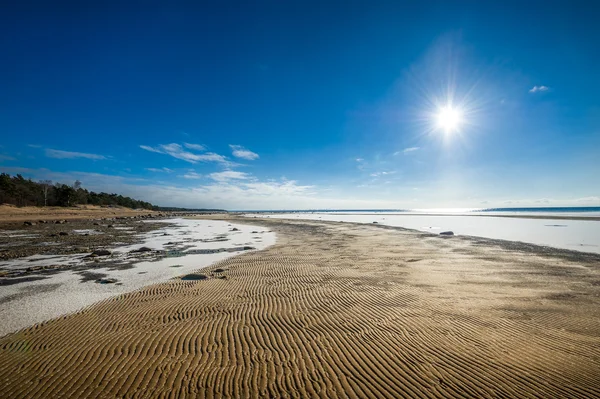 Frozen beach — Stock Photo, Image