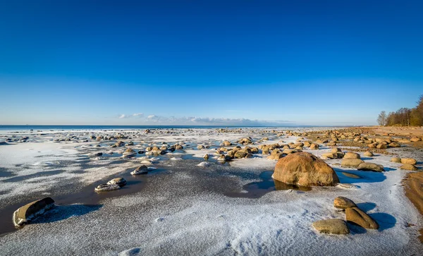 Eisige Uferlandschaft — Stockfoto