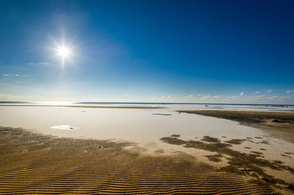 Frossen strand - Stock-foto