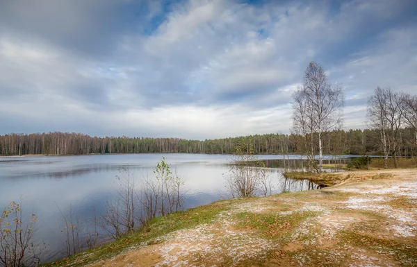 Cold autumn at forest lake — Stock Photo, Image