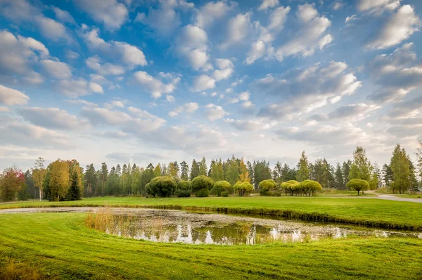 Pond in meadow — Stock Photo, Image