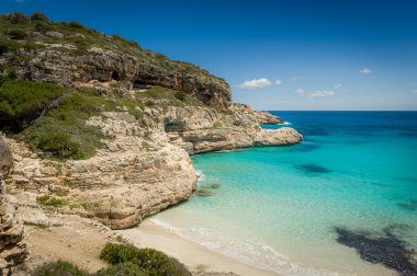 Ibiza wild sand beach clipart