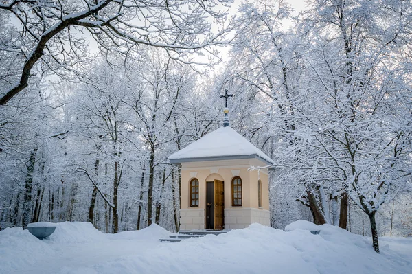 冬の森の教会 — ストック写真