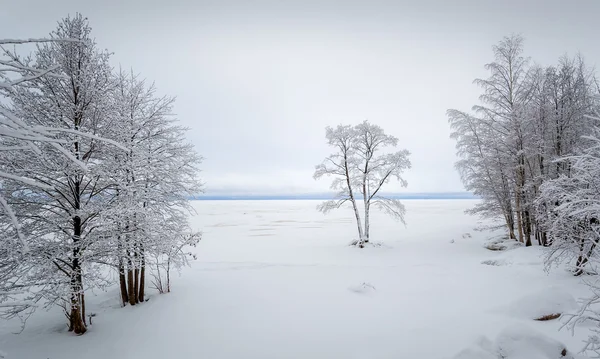 Paesaggio invernale — Foto Stock