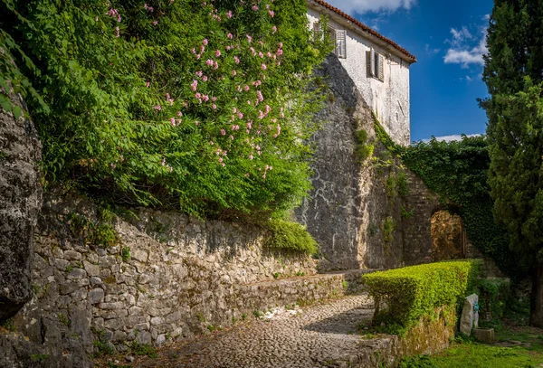 Herceg Novi medeltida fästningsmurarna — Stockfoto