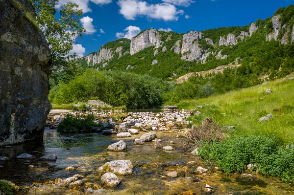 Nehir Karadağ dağlarında — Stok fotoğraf