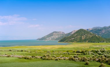 Karadağ 'daki Skadar Gölü Ulusal Parkı