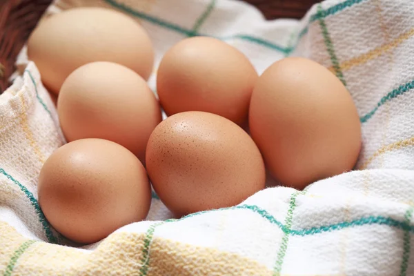 Brown hen eggs — Stock Photo, Image