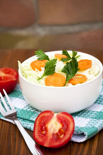 白菜蔬菜沙拉 — 图库照片