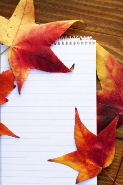 sonbahar ayrıntıları