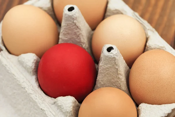 Red colored Easter egg — Stock Photo, Image