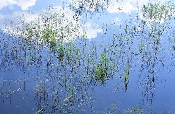 Sky and clouds reflection on water — Stock Photo, Image