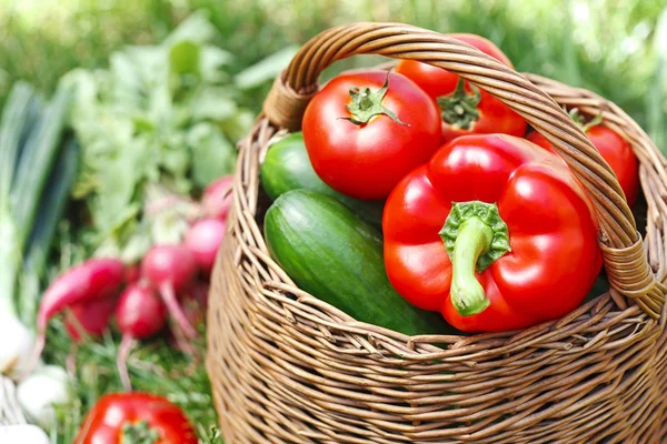 Свежие органические овощи в плетеной корзине — стоковое фото