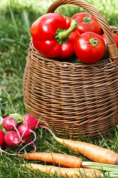 Verduras orgánicas frescas — Foto de Stock