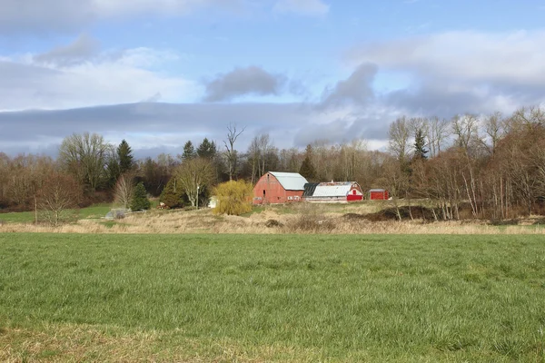 Kanadyjski Farm krajobraz — Zdjęcie stockowe