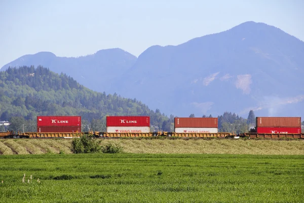 Produits chinois transportés à travers l'Amérique du Nord — Photo