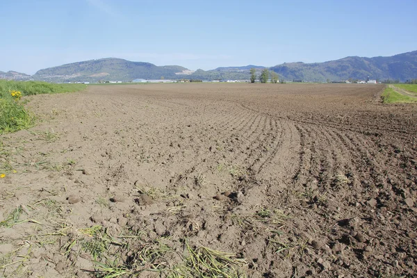 Primavera paisagem agrícola — Fotografia de Stock