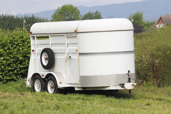 Lichtgewicht paardaanhangwagen — Stockfoto