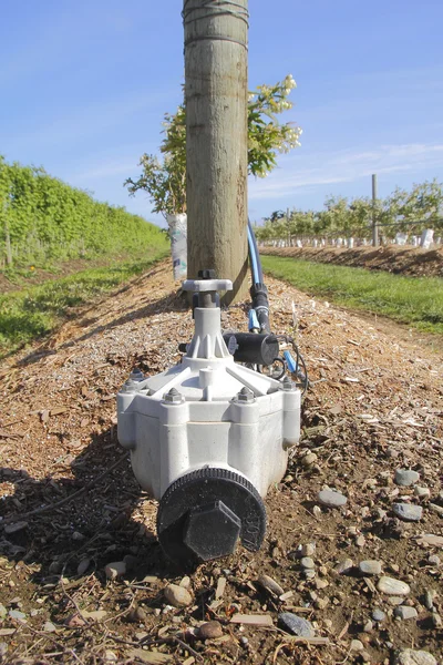 Piccola pompa di irrigazione esterna — Foto Stock