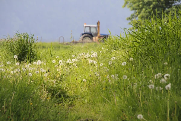 Meadow and Farmland — Stock Photo, Image