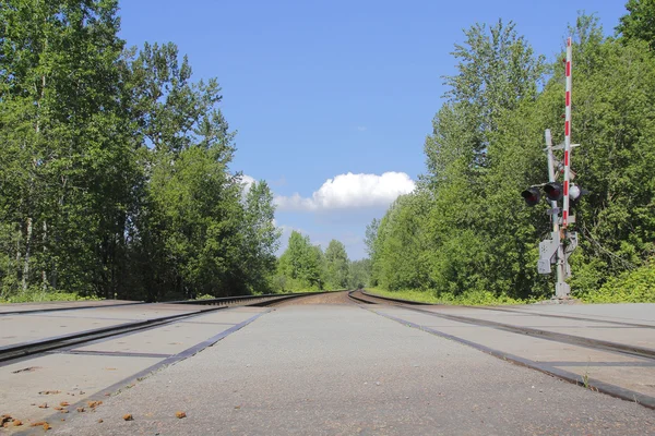 Double Train Track Crossing — Stock Photo, Image