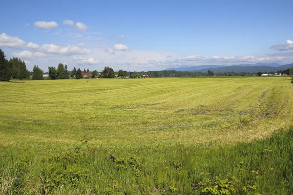 Paisagem de campo colhida — Fotografia de Stock