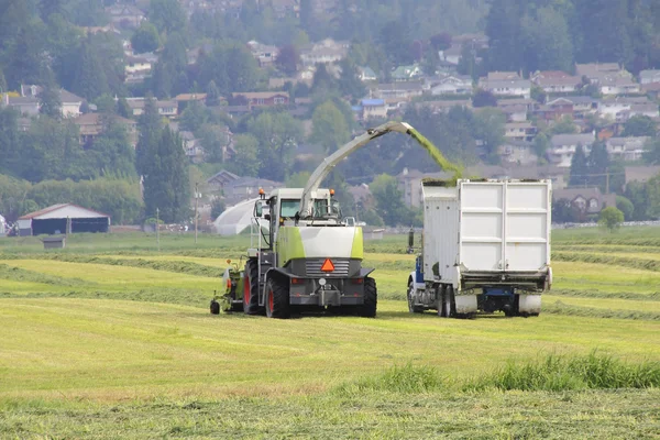 Macchine agricole Raccolta del fieno — Foto Stock