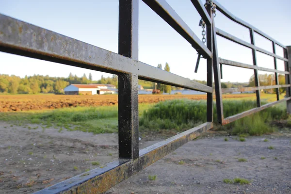 Na farmě v bezpečí a zajistit — Stock fotografie